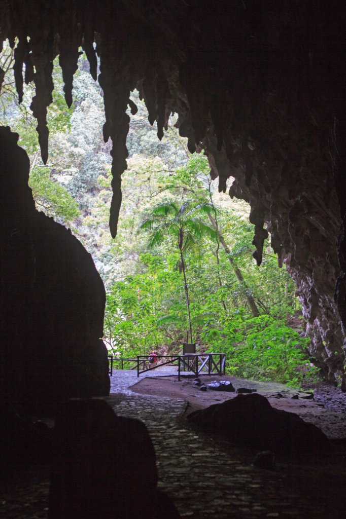 04-Inside the Cueva del Guacharo.jpg - Inside the Cueva del Guácharo